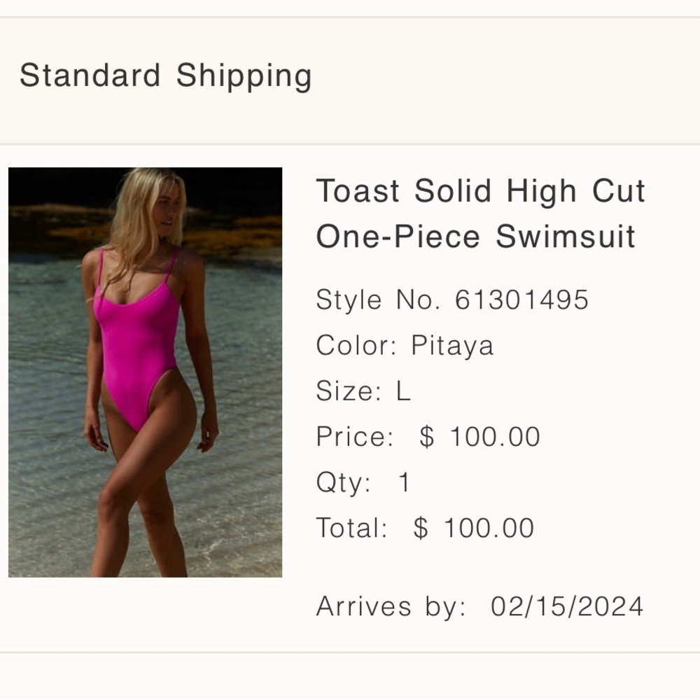 Free People one-piece swimsuit